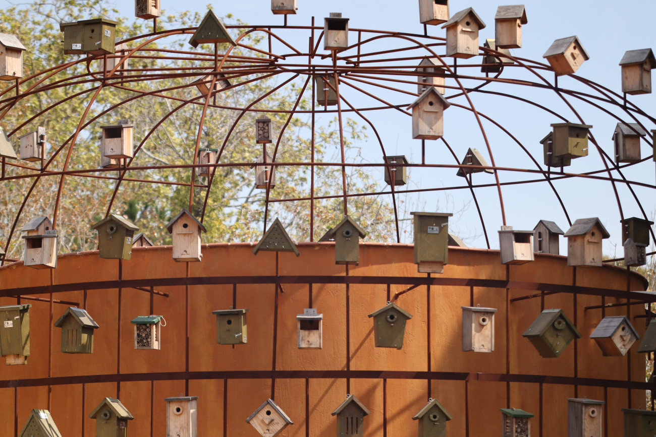 Centre d´Informació Remolar-Filipines, Delta del Llobregat (Igor Ribas)