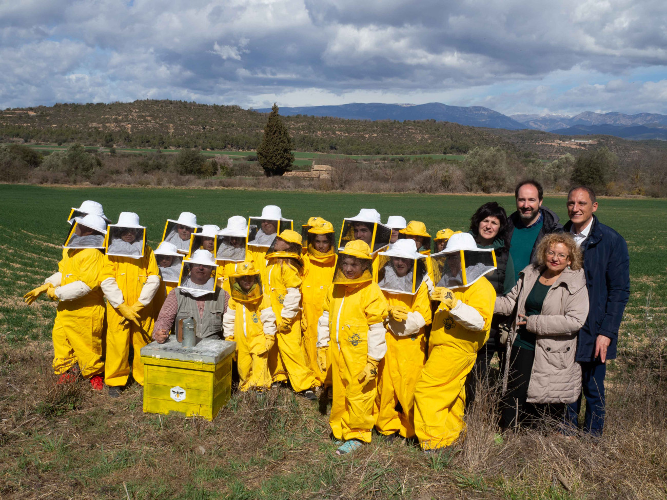 Trasllat abelles. Font: Bee Happy