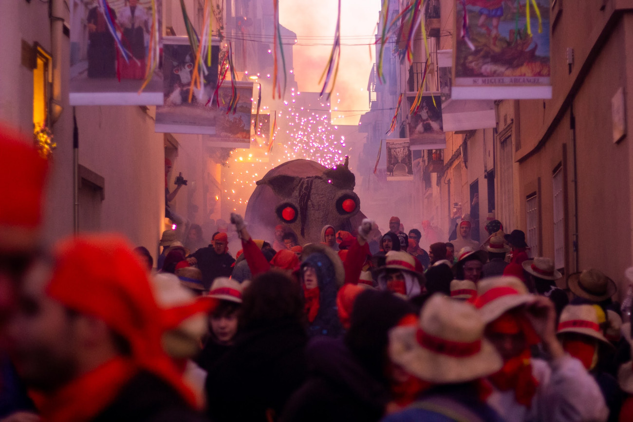 Camell al carrer del Camell. Font: Héctor Hernández (@hctrphoto)