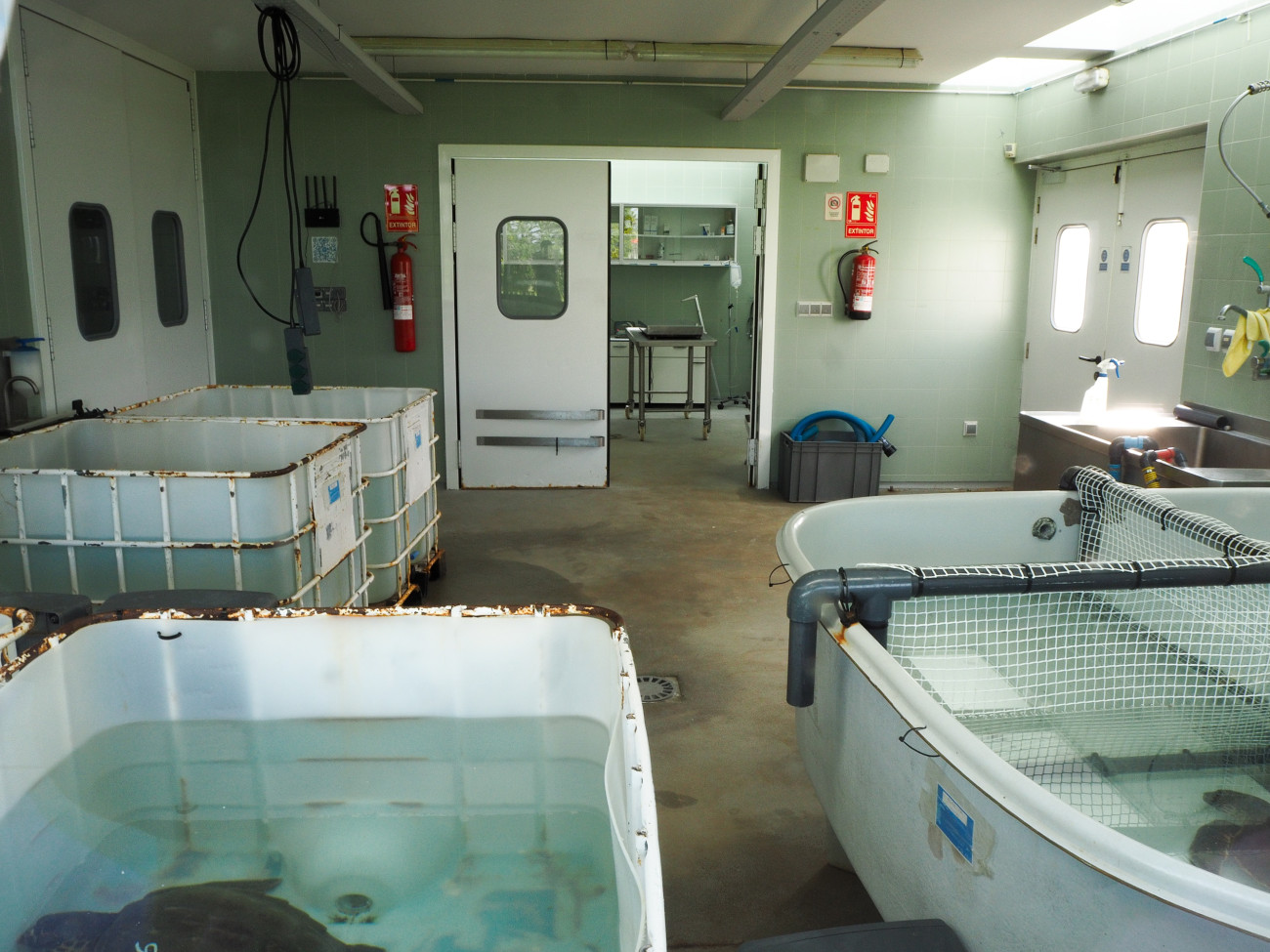 Àrea per a la recuperació i sanació de les tortugues rescatades del CRAM