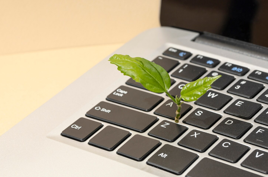 Lluny de reduir-se, aquesta petjada ha continuat creixent impulsada pel consum de vídeo en streaming, el núvol i la hiperconnectivitat constant