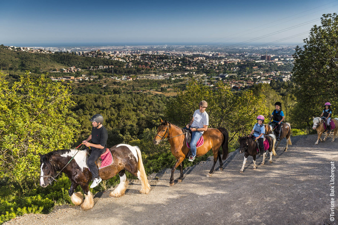 Des de la serra de Collserola es pot contemplar Barcelona de fons