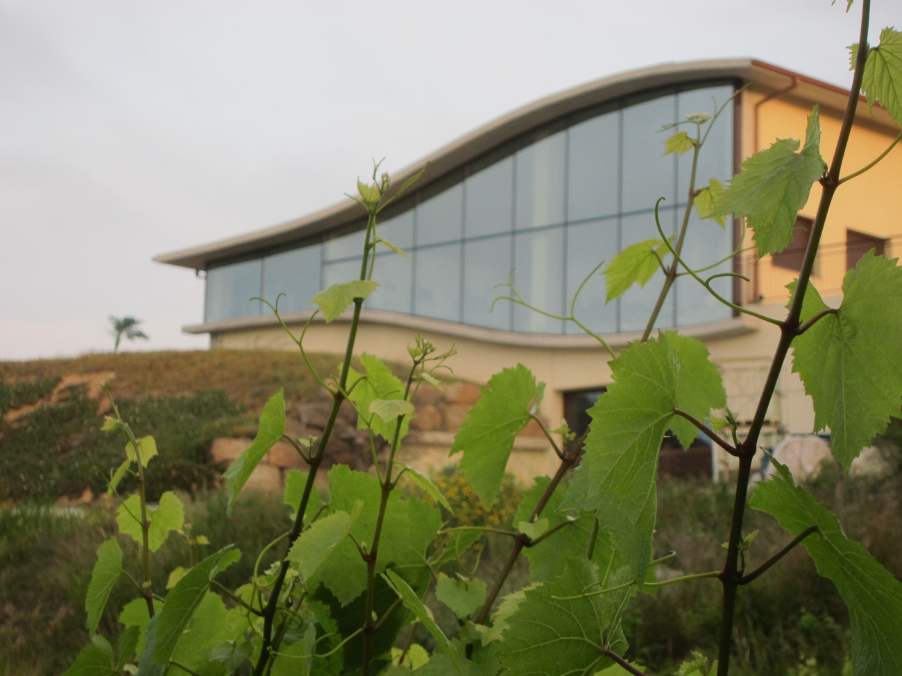 Can Canals en Sant Esteve Sesrovires