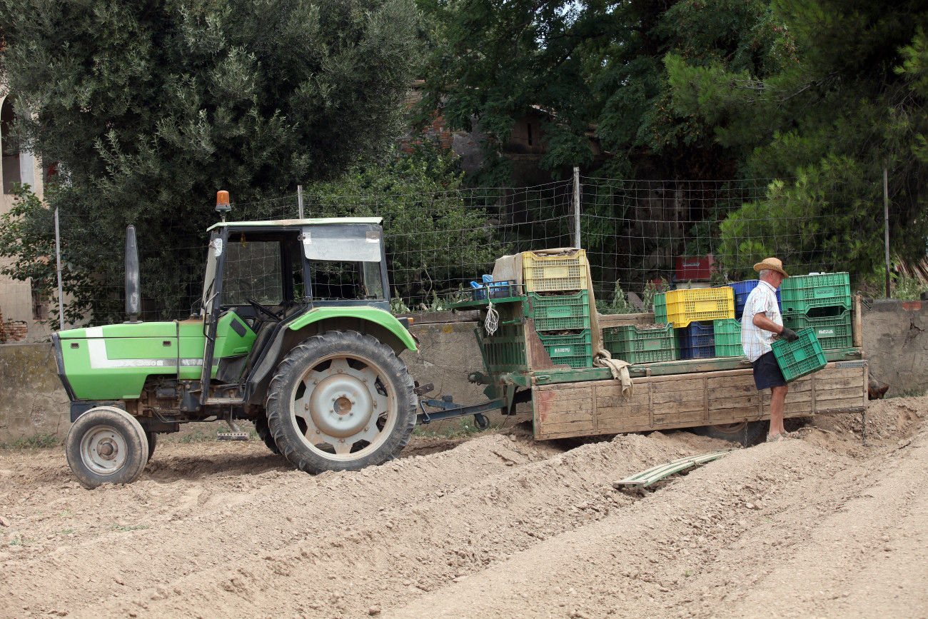 Las actividades en el Parque Agrario del Baix Llobregat se ven gravemente afectadas con cada tormenta