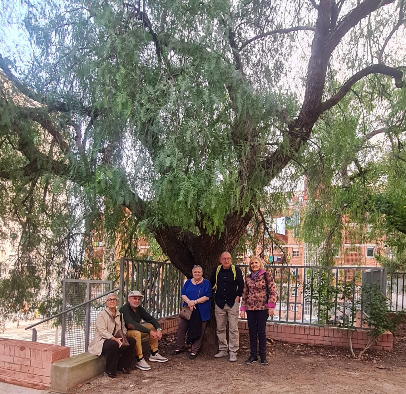 Grupo de compañeros de Bachillerato en el patio del instituto Torres i Bages de L’Hospitalet junto al árbol Apeiron que plantaron, junto con Núria G. Caldés.