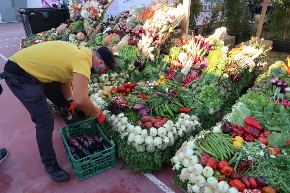  El producte del Parc Agrari del Baix Llobregat serà exposat a la Mostra Agrícola