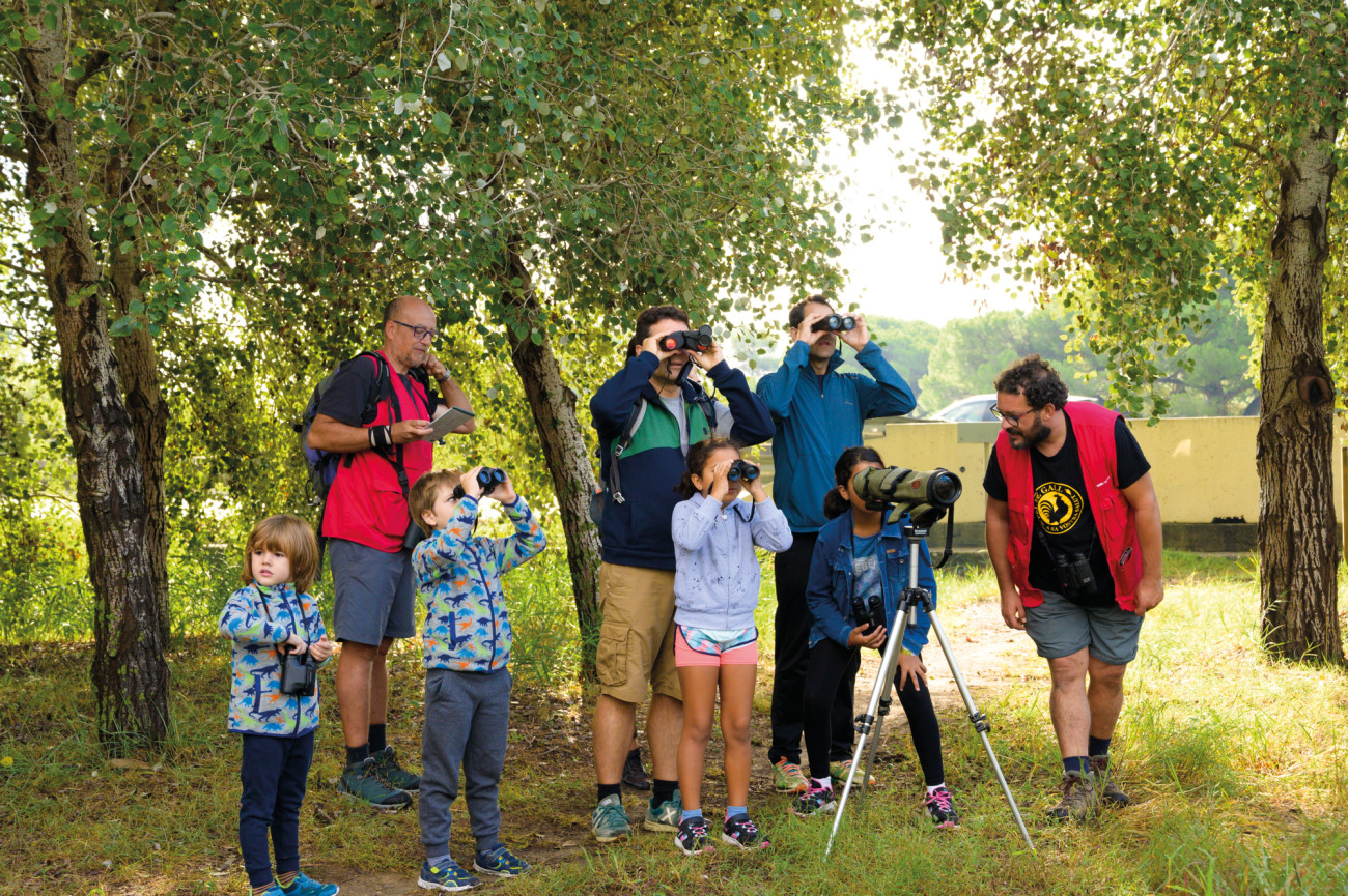 Al llarg de les onze edicions van acudir l’any passat a les activitats familiars als parcs més de 350.000 persones