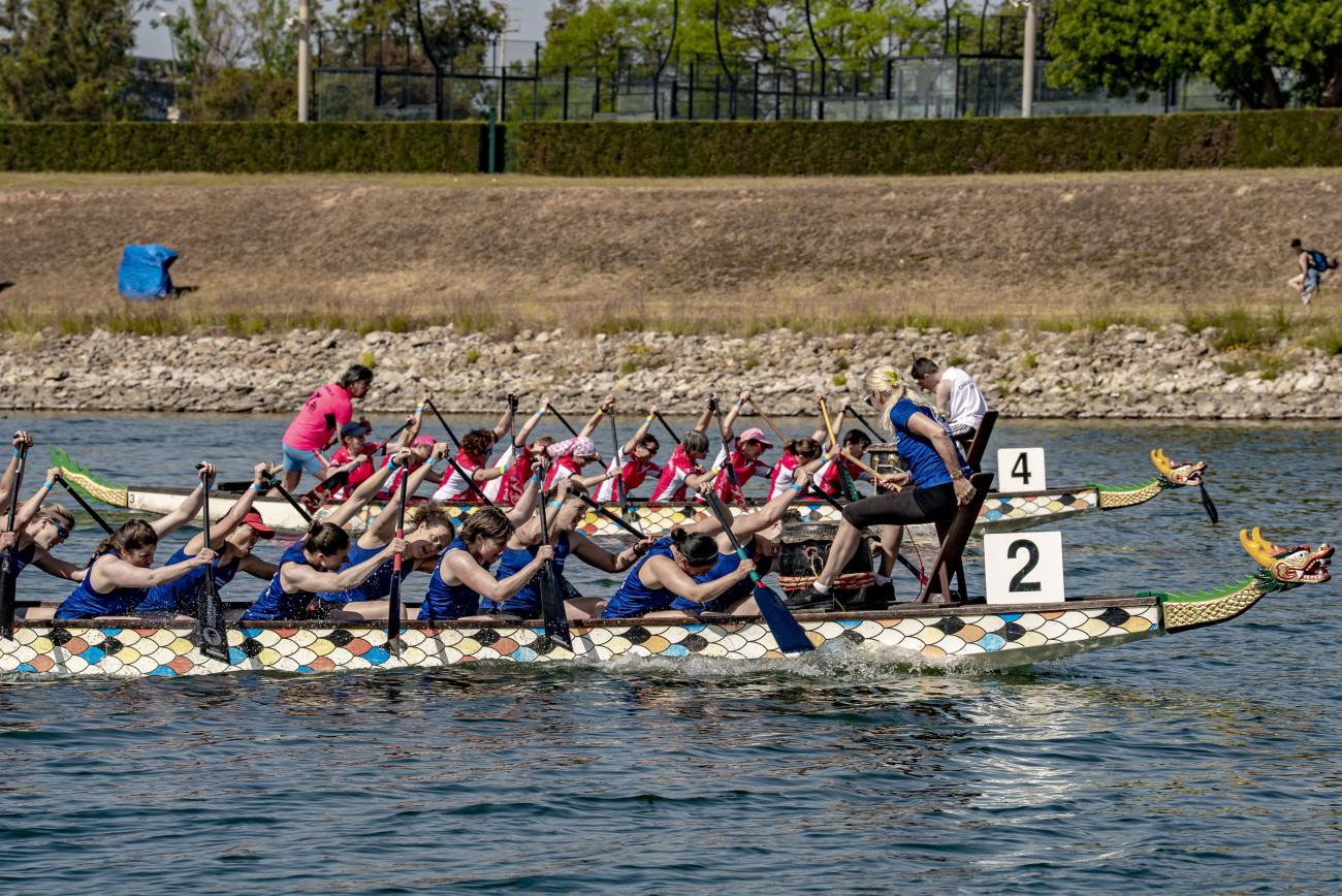 Rema contra el Càncer, activitat per a tots els públics i amb iniciació al dragon boat