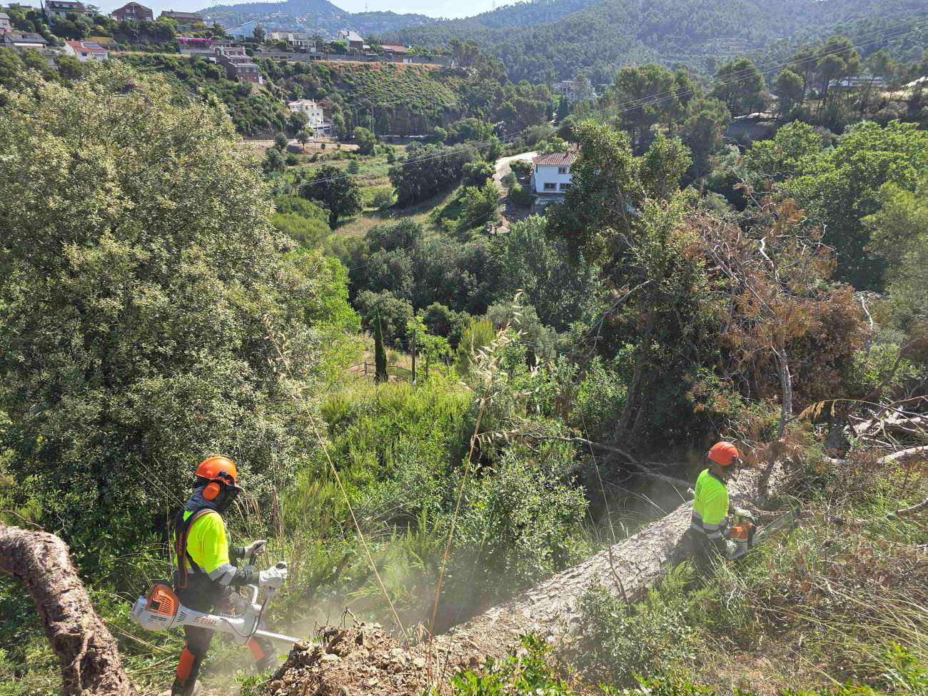 Imatge dels treballs que s’han començat a realitzar a Torrelles