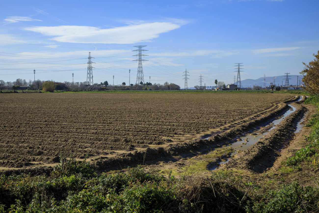 El Parc Agrari del Baix és el rebost d’aliments de proximitat de la gran Barcelona