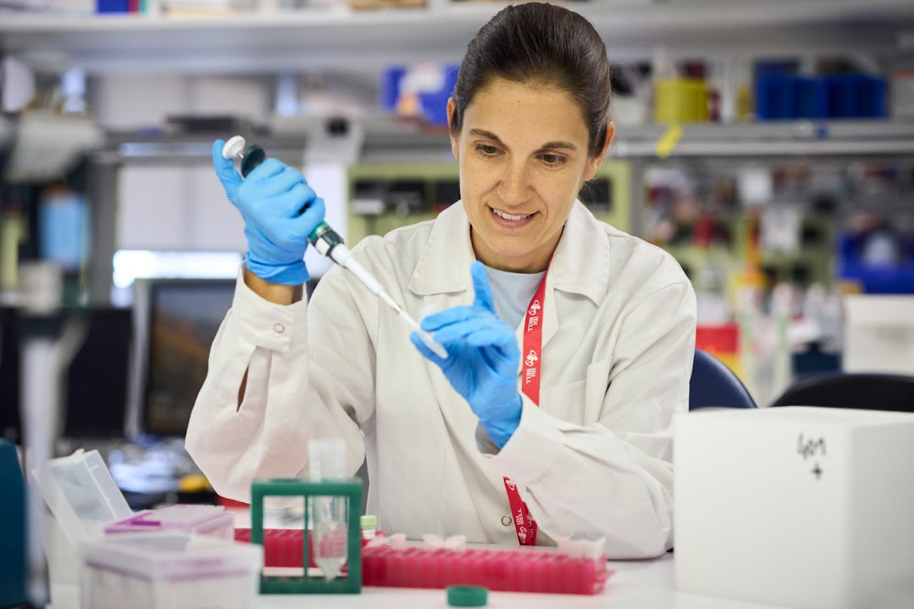  En los laboratorios del Idibell se trabaja en múltiples campos de investigación