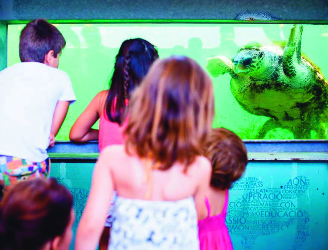 El CRAM es el hospital de los animales marinos