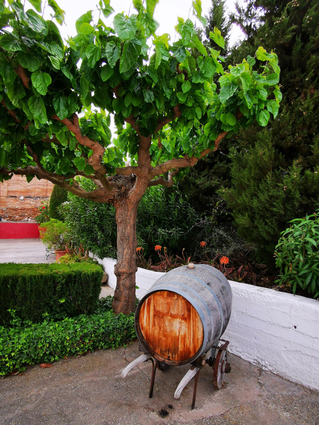 Detalle de la finca vitivinícola Ca n’Estella, en Sant Esteve Sesrovires, que propone cenas los sábados al atardecer por 42,90 euros