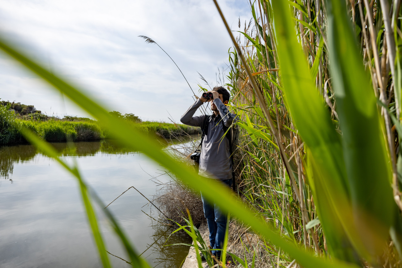 L’observació de la biodiversitat s’ha ampliat a la ribera del riu Llobregat