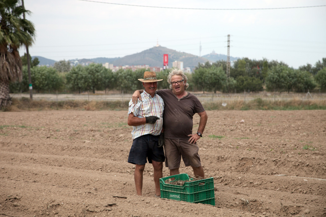 El delta constitueix un dels principals espais de producció agrícola de l’entorn de Barcelona
