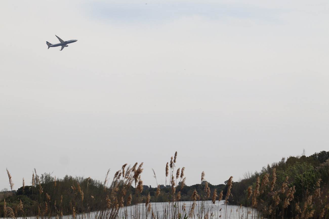 El contraste es enorme entre la proximidad del aeropuerto y los espacios naturales