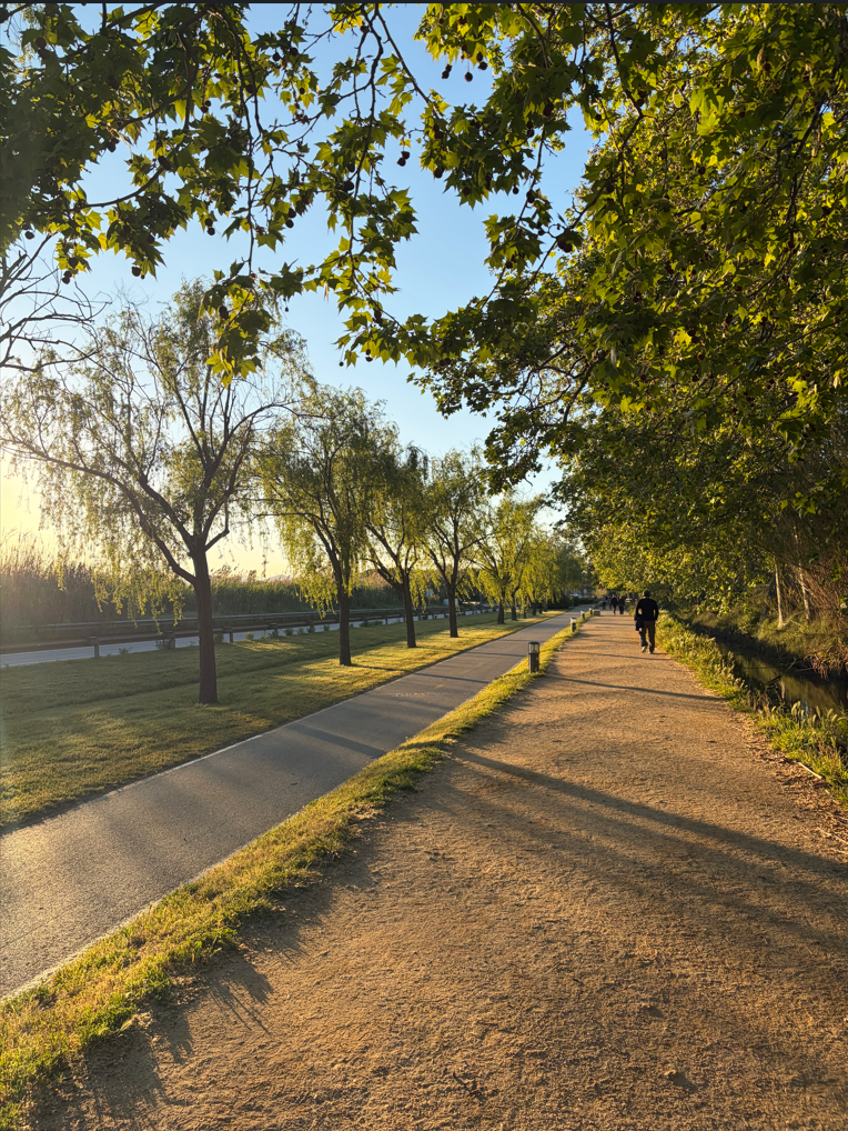 La tranquilidad se respira en todos los rincones del municipio