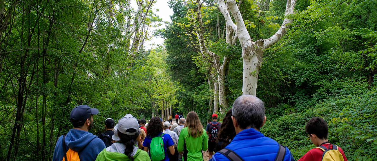 Excursionistes gaudint de l’ús públic de Collserola. Font: Ajuntament Barcelona