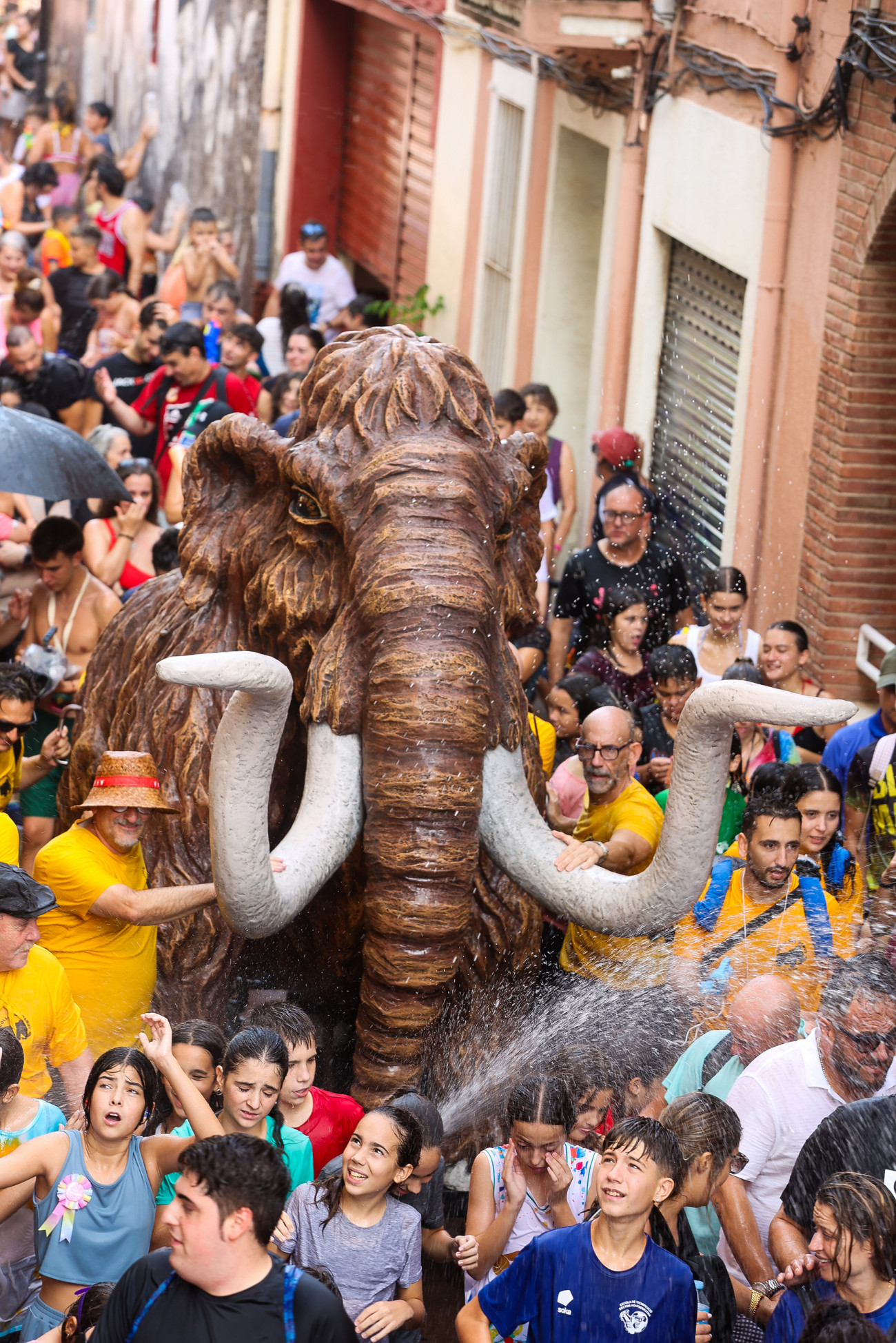 El divendres 4, després del pregó, prendran els carrers la Colla del Mamut, Castellers, Grallers i Perkussió Sankofa, abans de la tronada dels Diables