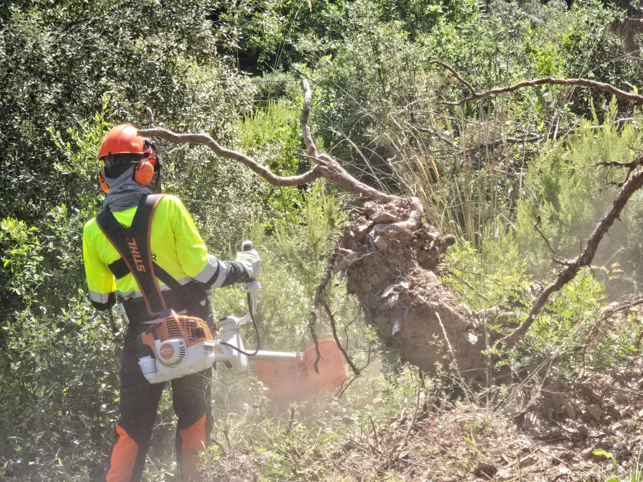 Els treballs de creació de franges impulsats per l’AMB es van executar a principis d’aquest estiu en diverses poblacions metropolitanes. La fotografia és de Torrelles de Llobregat