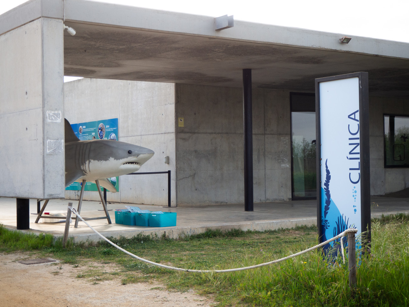 Clínica del Centre de Recuperació d’Animals Marins (CRAM)