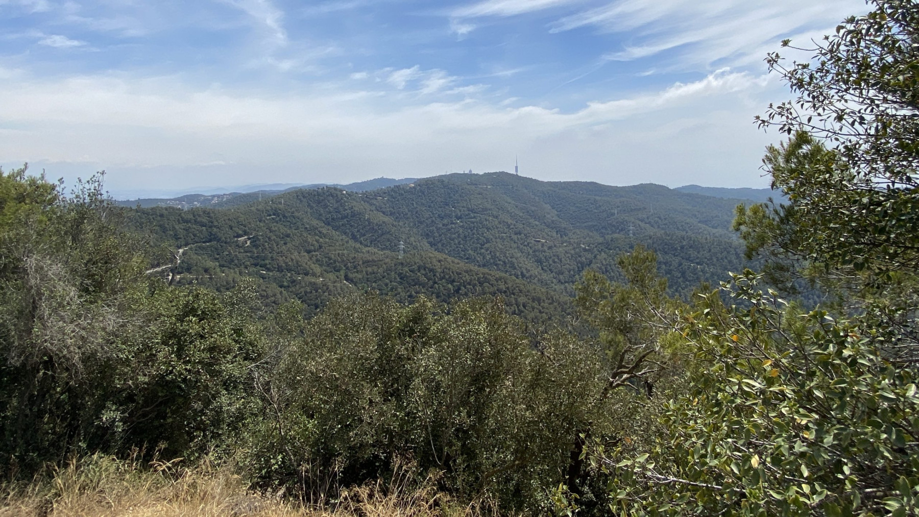 Img Collserola, el pulmó metropolità posat a prova