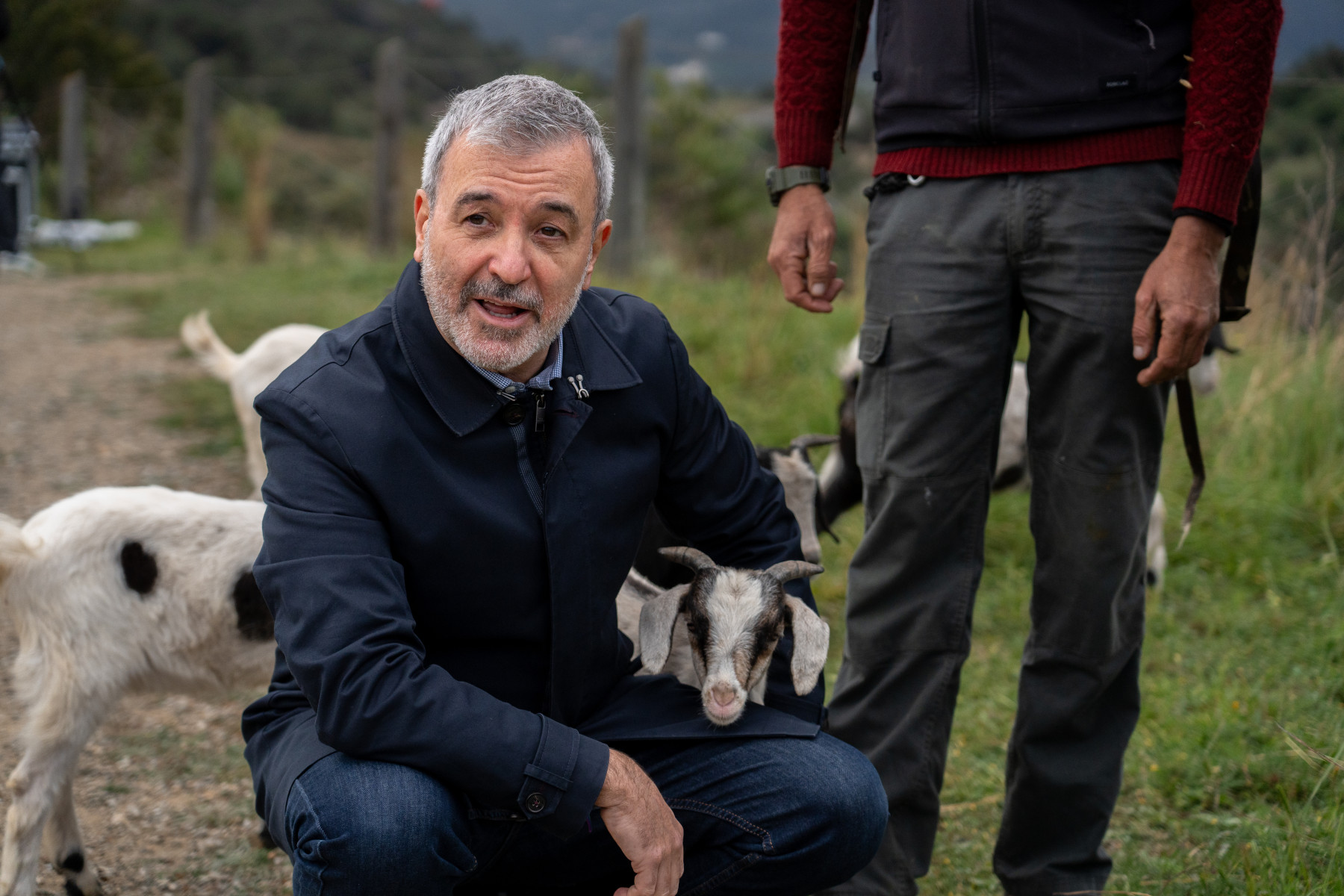 L’alcalde de Barcelona i president de l’Àrea Metropolitana de Barcelona (AMB) durant la presentació de la iniciativa de silvopastura