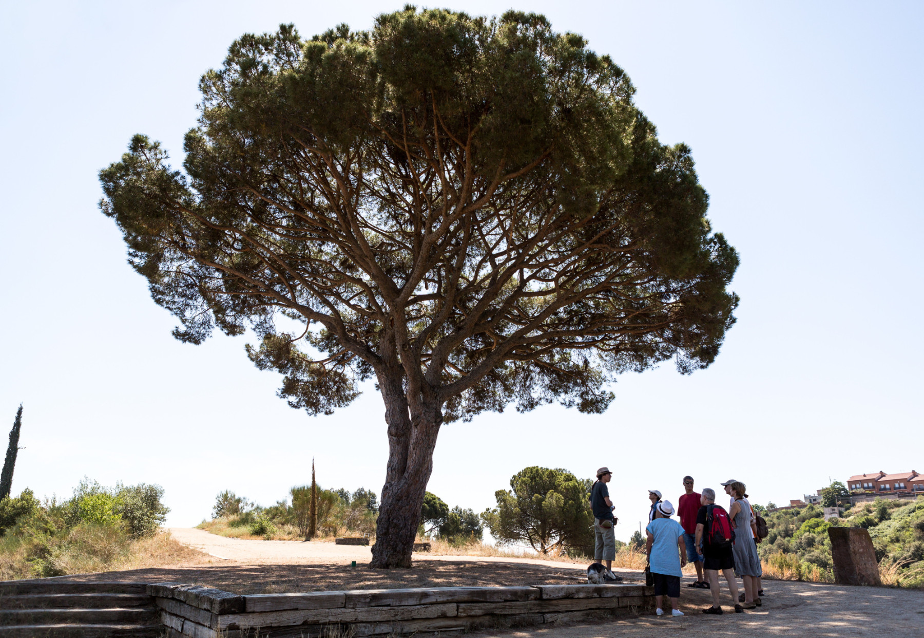 Img L’àrea metropolitana prepara un pla contra la calor per transformar carrers, habitatges i equipaments