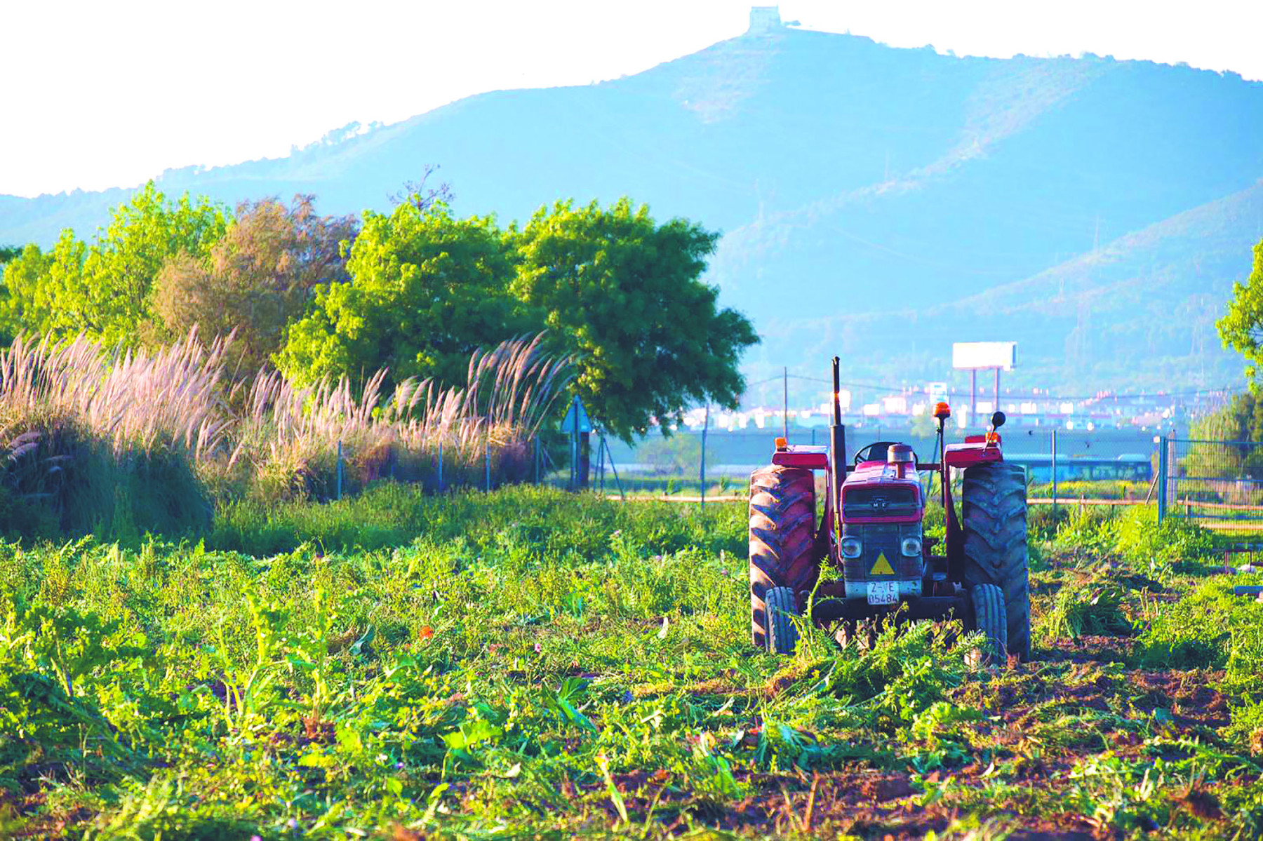 Img El Parc Agrari del Baix, reducte de resistència davant la pèrdua del 70% de sòl agrícola a l’àrea metropolitana