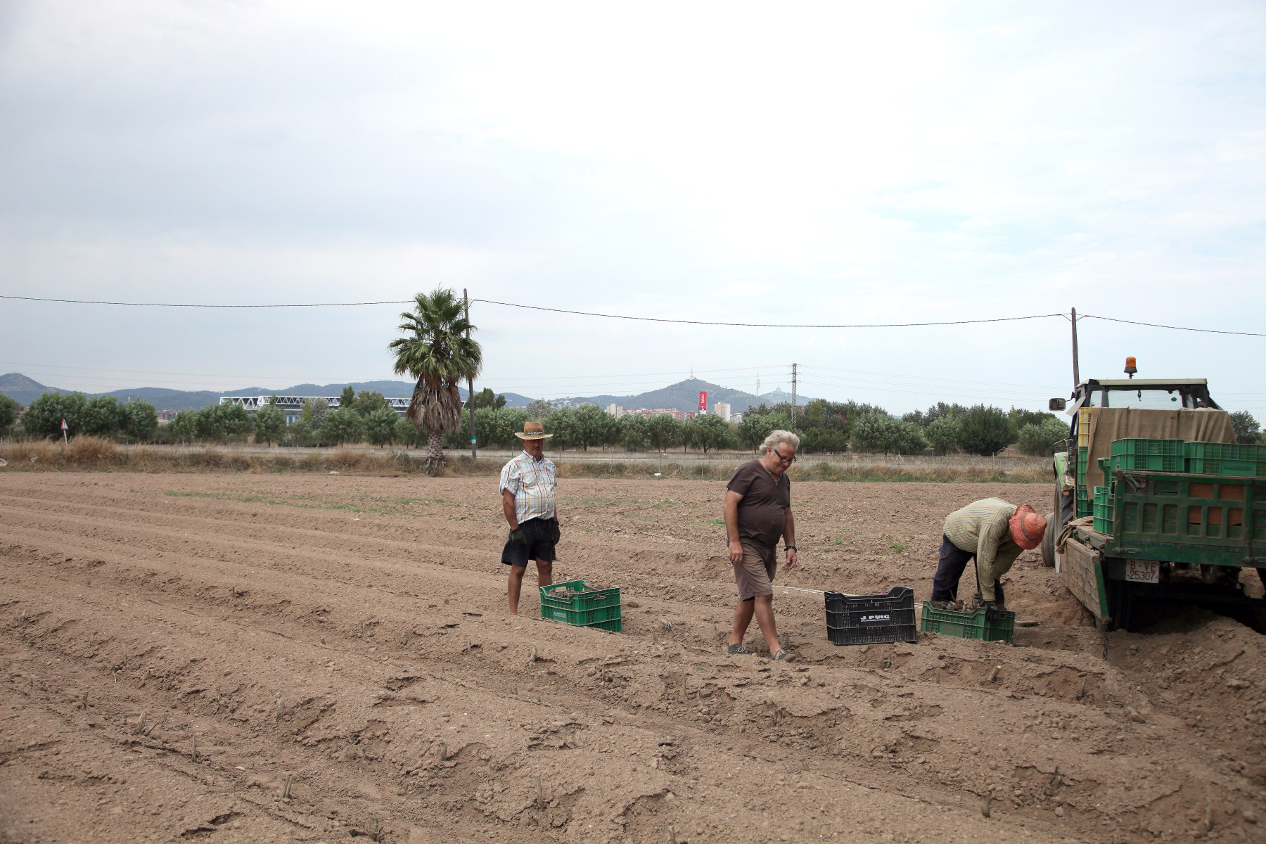 Img L’últim pulmó agrícola de Barcelona busca hereus