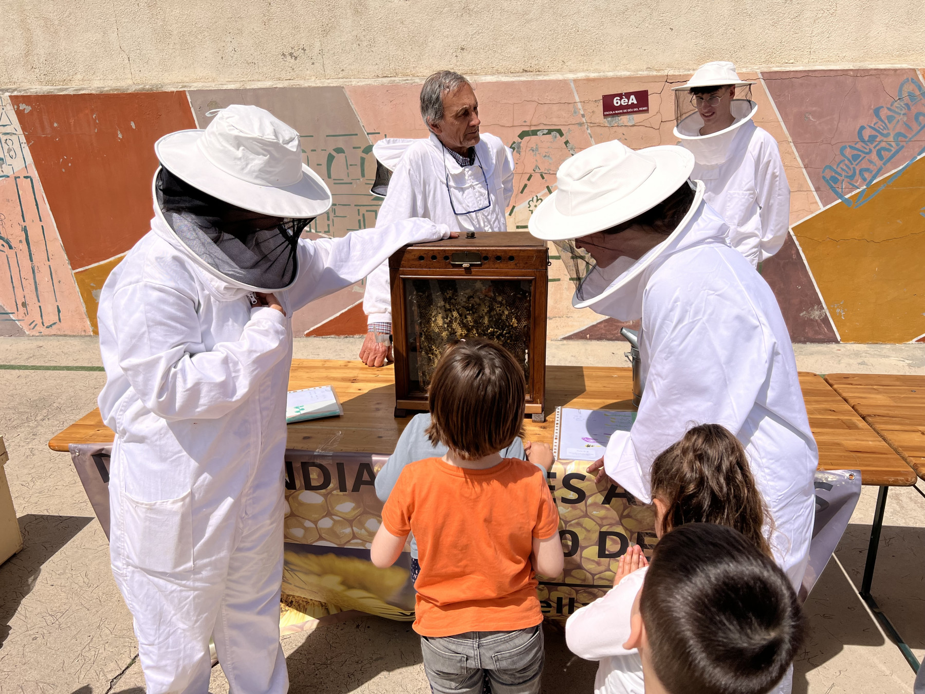 La Casa de les Abelles, un compromís amb la biodiversitat urbana a Viladecans