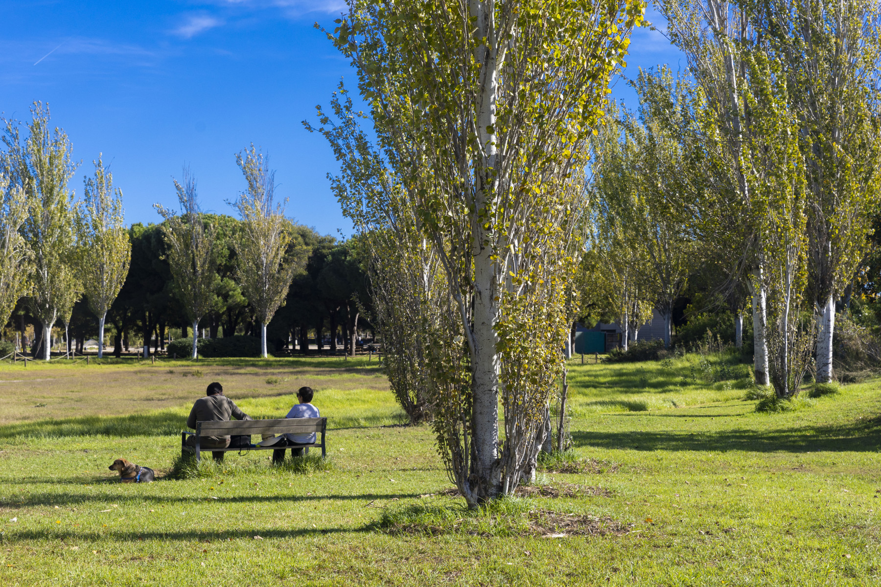 Img Los Parques Metropolitanos: oasis verdes en el territorio del Llobregat frente al calor