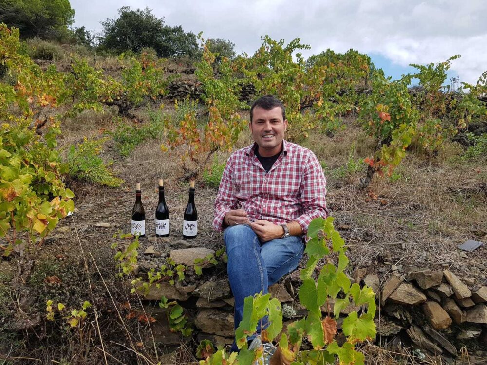 Img Vuit empreses i cellers del Baix Llobregat participen a la Barcelona Wine Week