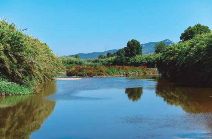 ODS 15: Vida terrestre