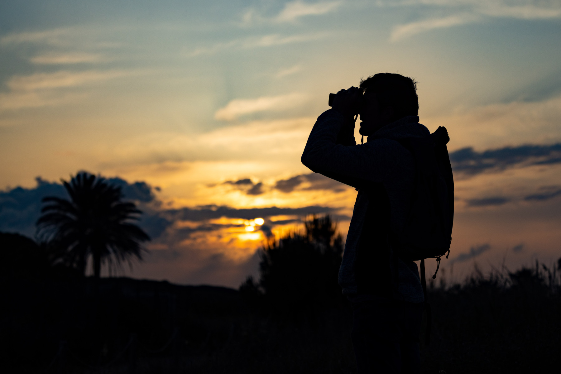 Un oasi aviari a El Prat, a tocar de la major infraestructura catalana